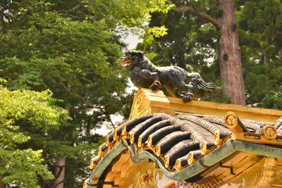 DSC_3877 (Large).JPG